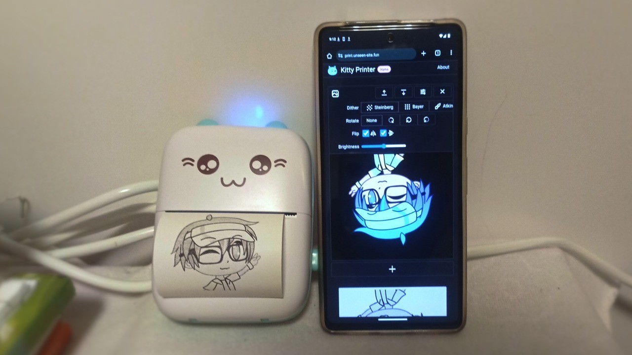 Poster: Photo of the “Cat Printer”